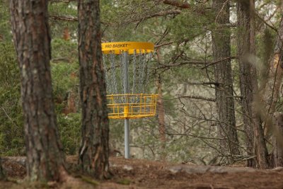 Disc golf is de nieuwe sport waar niemand nog spijt van heeft